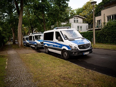 Lionne en liberté recherchée dans la banlieue de Berlin
