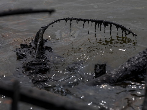 Le Venezuela va dépolluer son plus grand lac affecté par le pétrole