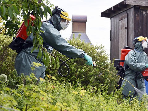 Deux dénonciations pour refus d'asperger de l'insecticide à Kloten