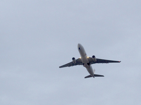 Atterrissage à Paris d'un avion français transportant 262 rapatriés