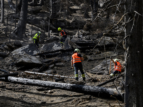 Incendie de forêt à Bitsch (VS): vers un retour à la normale