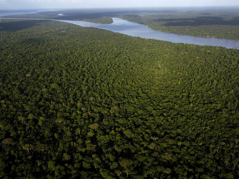 Les pays amazoniens forment une 