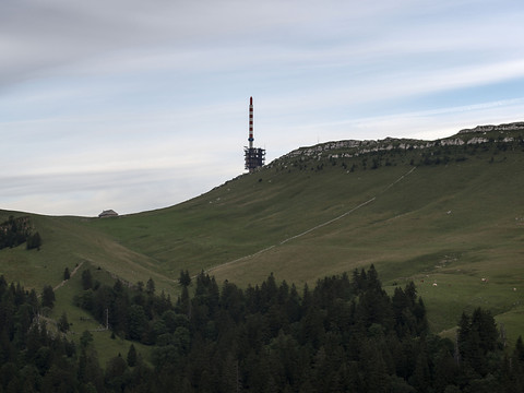 Le Jura bernois à son tour concerné par une attaque de loup