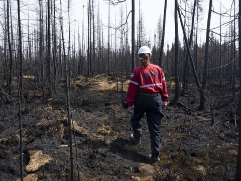 La plus grande ville du Nord évacuée en raison des feux de forêt