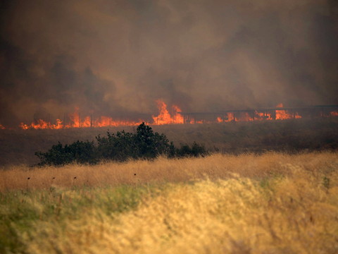 Grèce: les feux de forêt font rage, un mort