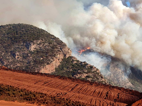 Nouvelle vague d'incendies en Grèce, vingt morts en deux jours