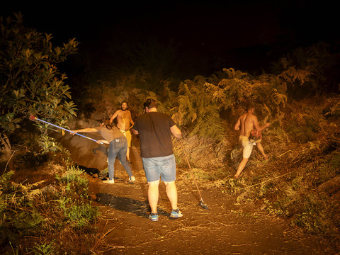 L'incendie de Tenerife 