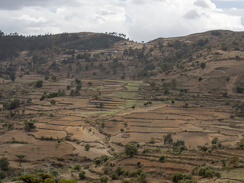 Au moins 183 personnes tuées depuis juillet dans la région éthiopienne de l'Amhara