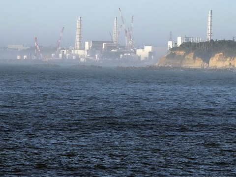 Japon: les premiers rejets de l'eau de Fukushima ne sont pas nocifs (AIEA)