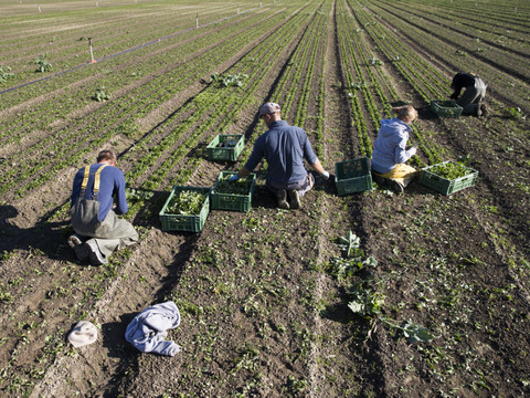 Nouvelle stratégie climatique pour une agriculture plus durable