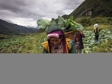 Le monde abandonne les femmes et les filles, déplore l'ONU