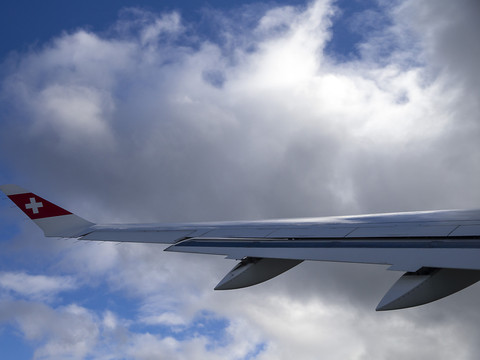 Un avion Swiss pris dans une nuée d'oiseaux : décollage interrompu