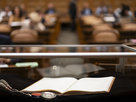 La Constitution fédérale, 
