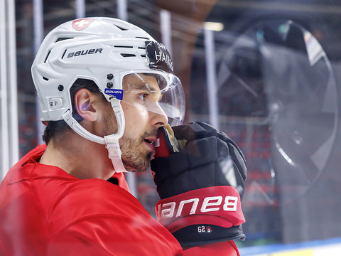 Zurich Lions: un rêve du titre inachevé ces dernières années