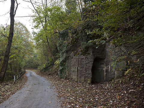 L'armée suisse met fin à la vente de ses anciens bunkers