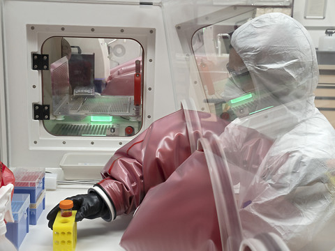 La chimie-pharmacie relance les exportations en août