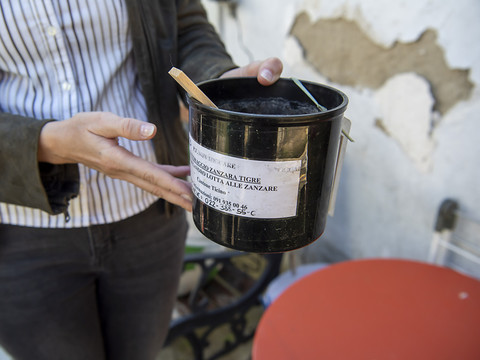 Les cas de dengue augmentent en Suisse