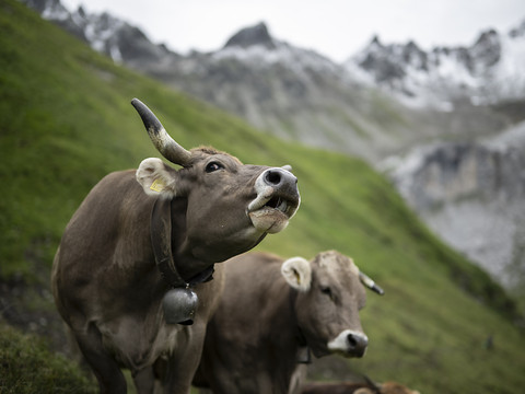 Un peu moins d'argent pour l'agriculture pour les années 2026-2029