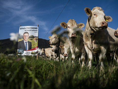 La question migratoire influence deux tiers des votants