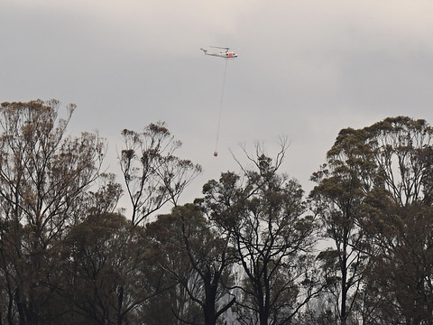 Un mort dans des feux de forêt dans la région de Sydney