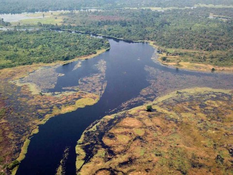 Le Ruki pourrait être le fleuve le plus noir du monde