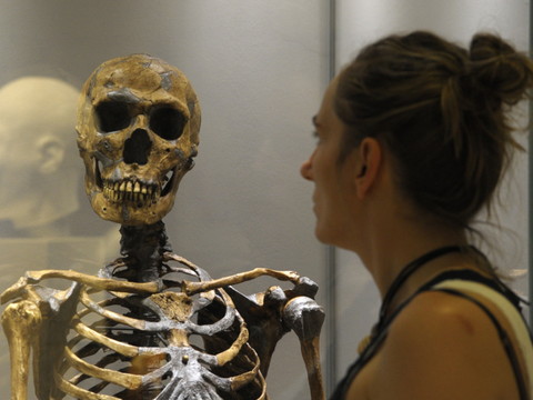 La génétique retrouve la trace des premiers Homo sapiens d'Europe