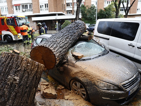 La tempête Ciaran fait au moins 7 morts en Europe