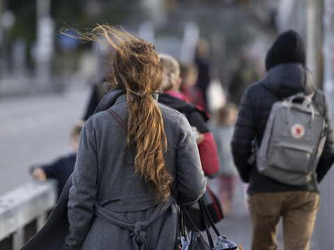 La Suisse a été balayée par des vents tempétueux jusqu'en plaine