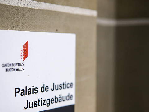 Le garde-chasse qui avait détenu des aiglons doit être rejugé