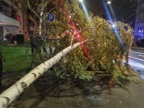 L'ouragan Frederico a fait un mort dans le canton de Berne
