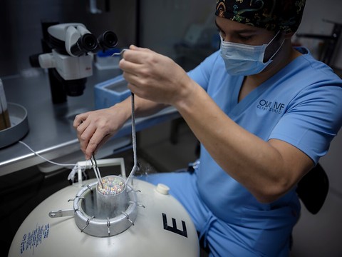 Des employeurs paient la congélation d'ovocytes en Suisse