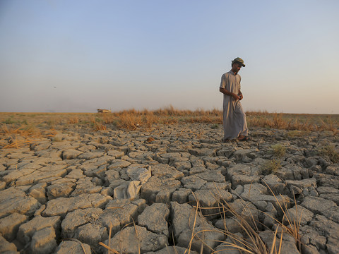 Sécheresse en Irak: les fermiers confrontés à des restrictions en eau