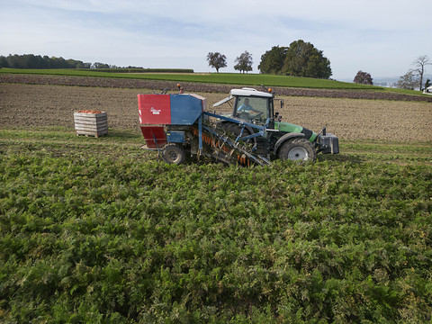 La Suisse a assez de terres pour garantir sa sécurité alimentaire