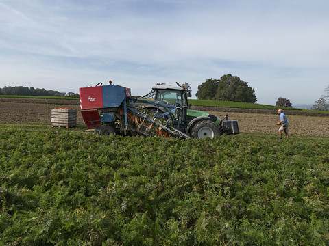 Toujours trop de pertes d'azote et de phosphore dans l'agriculture