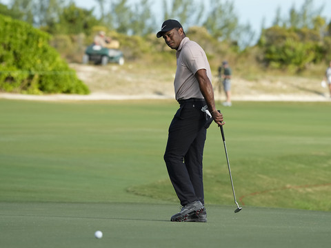 Woods, moyen mais 