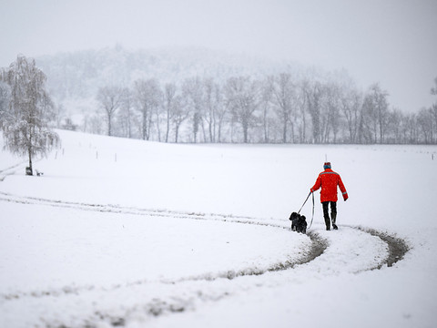 Conditions hivernales et perturbations en Suisse alémanique