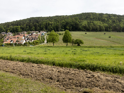 Les surfaces de promotion de la biodiversité reportées d’un an
