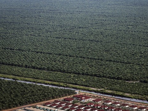 WSL: ne pas oublier la biodiversité dans le débat climatique