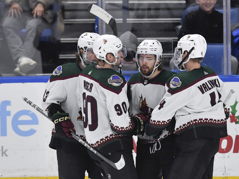 Un deuxième tiers fatal pour Janis Moser et les Coyotes