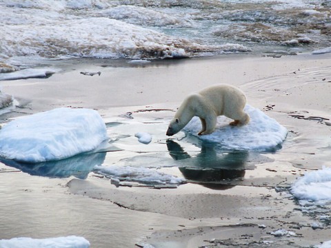 L'été 2023 dans l'Arctique a été le plus chaud jamais enregistré
