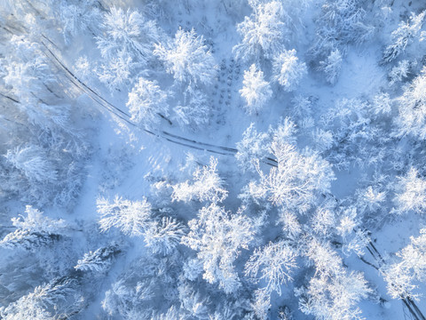 Meilleures mesures de hauteur de neige avec l'IA