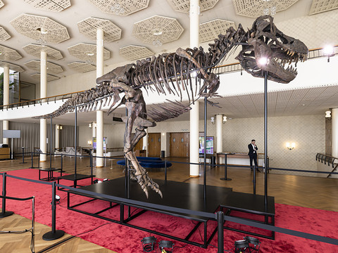 Le T-Rex 