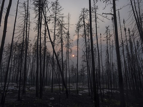 L'Etat canadien visé par un procès pour inaction climatique