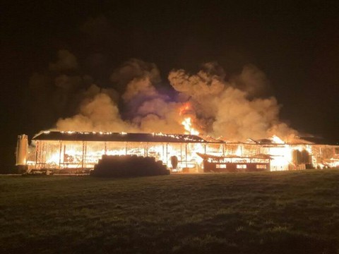 Plus de 500 animaux meurent dans les flammes à Bottens (VD)