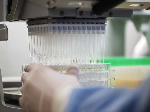 Nouvel antibiotique prometteur contre une bactérie résistante