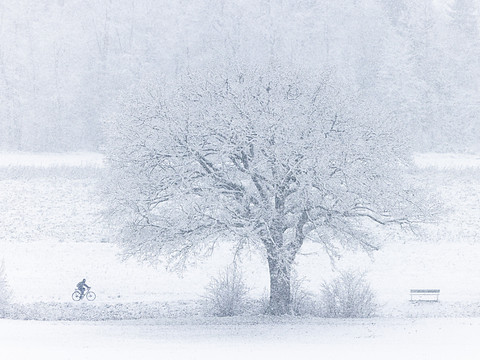 L'hiver fait son retour en plaine
