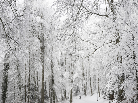 Meteonews relativise la vague de froid actuelle