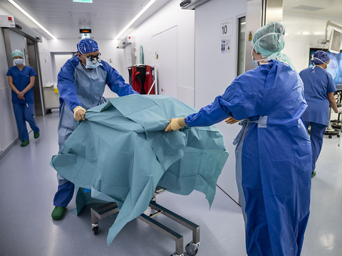 Dons d'organes : donneurs plus nombreux l'an dernier de 22%