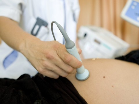 Une épidémie de parvovirus met en danger les femmes enceintes