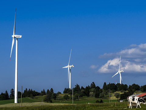Interdire la construction d'éoliennes en forêt